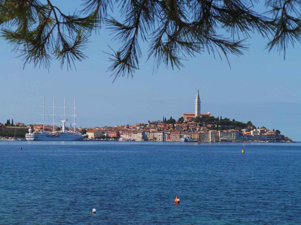 Apartment In Rovinj/Istrien 11735 Ngoại thất bức ảnh